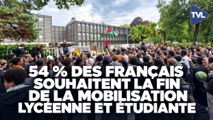 54 % des Français souhaitent la fin de la mobilisation lycéenne et étudiante, selon un sondage