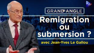 Grand Angle - Jean-Yves Le Gallou : Sommet pour la remigration de Milan