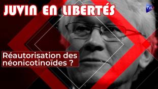 Juvin en Libertés - Vers la réautorisation des néonicotinoïdes ?