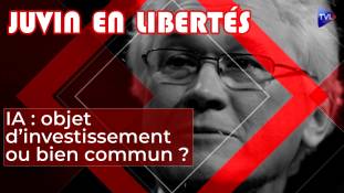 Juvin en Libertés - IA : objet d'investissement ou bien commun ?