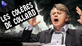 Les colères de Collard - Philippe de Villiers et l'ARCOM