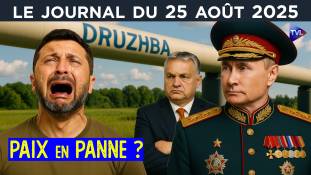 Ukraine : les montagnes russes diplomatiques - JT du lundi 25 août 2025