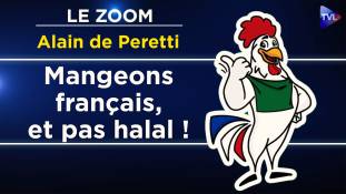 interview d'alain de peretti : Suivez le Coq : un site pour trouver une alimentation traditionnelle