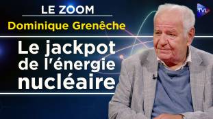Dominique Grenêche: Les réacteurs nucléaires surgénérateurs Pourquoi ? Comment ? Quand ?