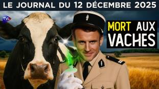 Abattage des vaches, le nouveau scandale - JT du vendredi 12 décembre 2025