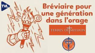 Terres de Mission n°478 - Le livre programme d'Academia Christiana