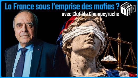 OPEN BOX TV avec Clotilde Champeyrache - Dr*gue, cocaïn* : La France sous l’emprise des mafias ?