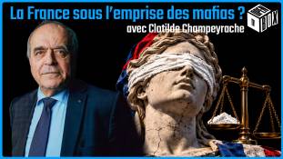 OPEN BOX TV avec Clotilde Champeyrache - Dr*gue, cocaïn* : La France sous l’emprise des mafias ?